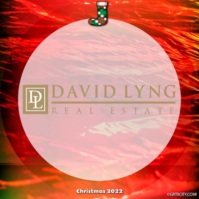 	David Lyng Real Estate	